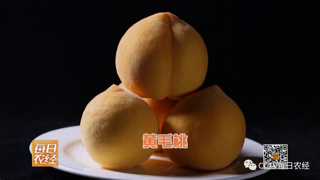 4k在线影视 线影视以及部分免费电影