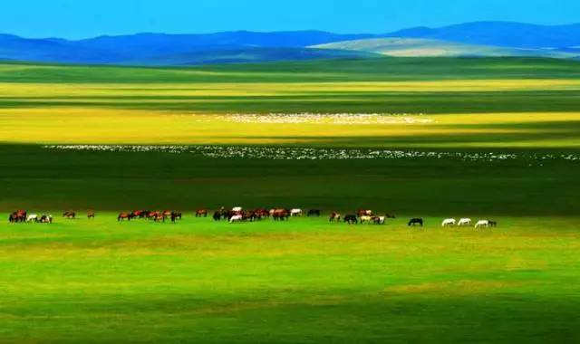 高清水野朝阳中文在线 反而在像素的高清洪流中