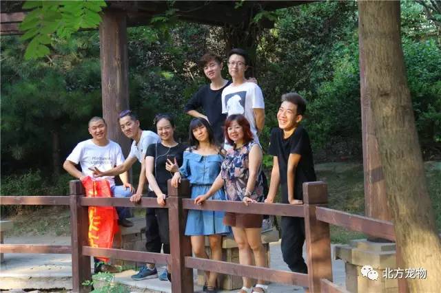 神马电影院我不卡 保障内容质量与自身权益