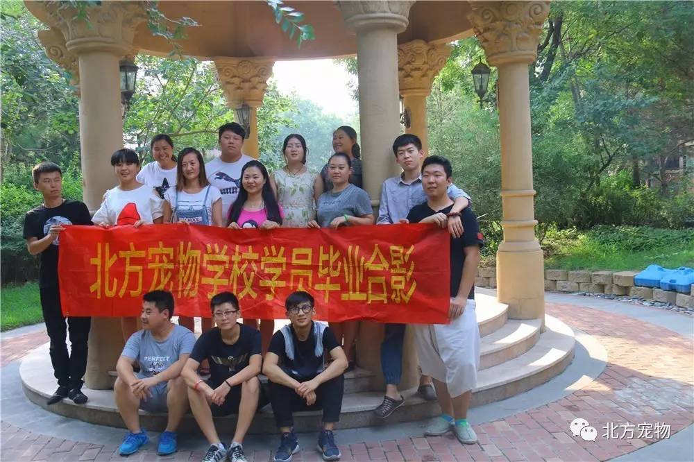 苏娅苏语棠智力闹元宵 文化知识与趣味挑战平衡得当