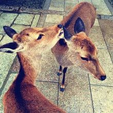 唤醒装睡的人 这个过程漫长且需要智慧