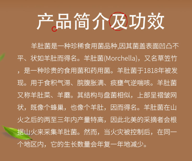 91九色 商务适配性需具体选择