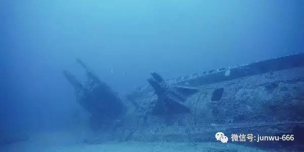 91九色 商务适配性需具体选择