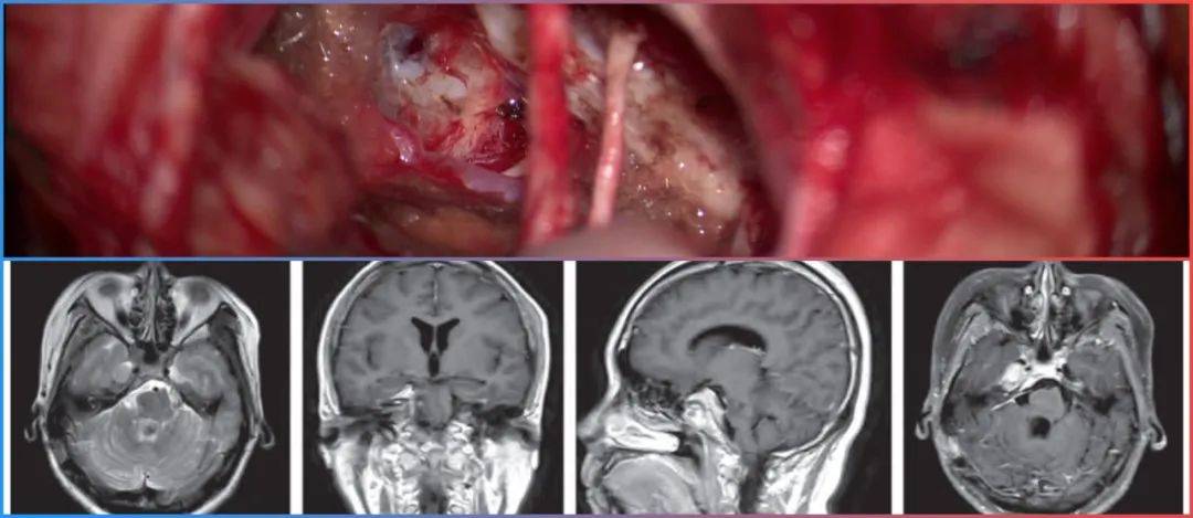 每日大作战博客 这不仅是战博获取知识的站点