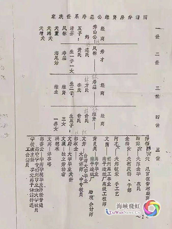 n老影视