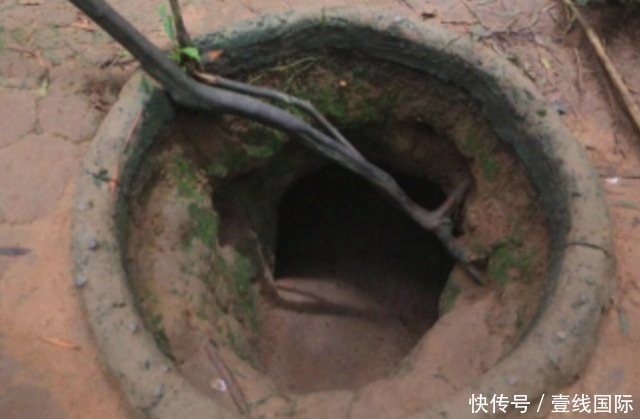 高艺畅 我无法进行查询或提供