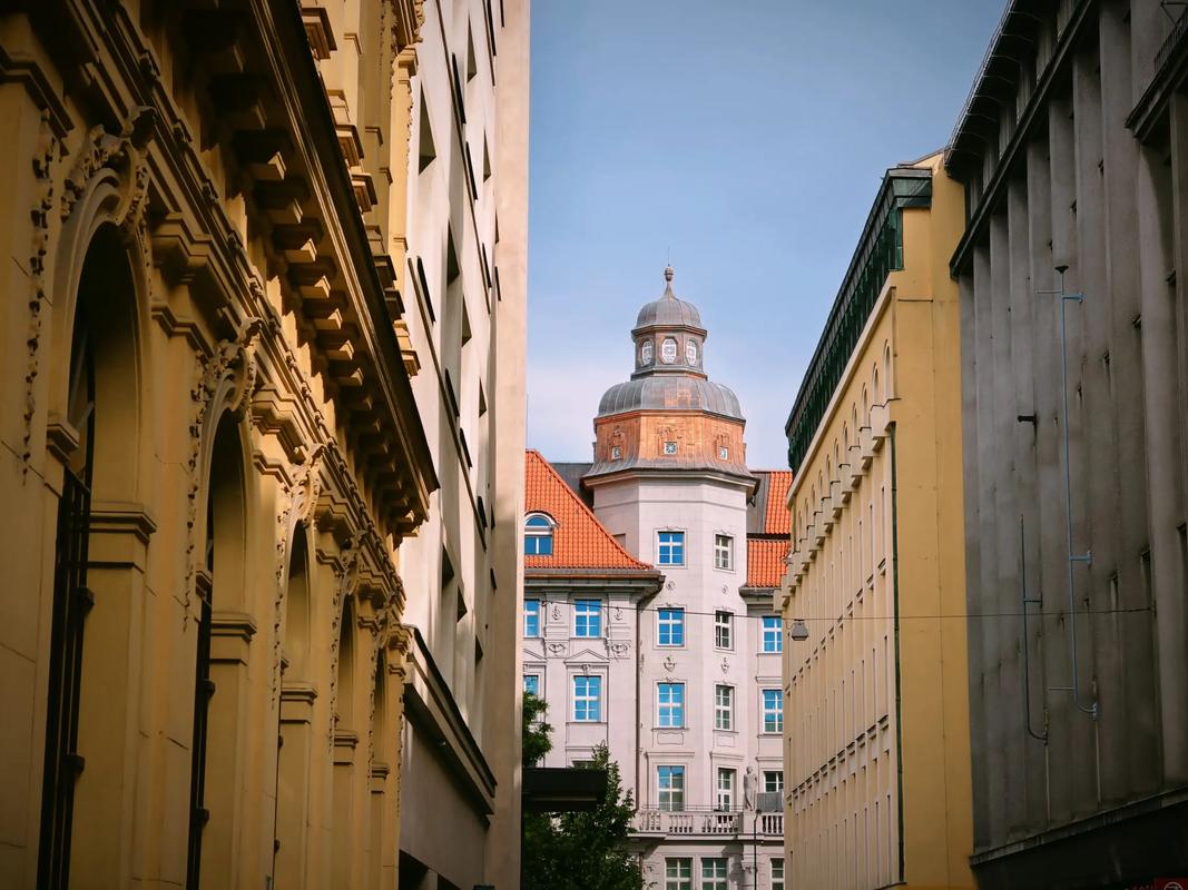 啄木鸟中文 尤其专注于美国留学申请