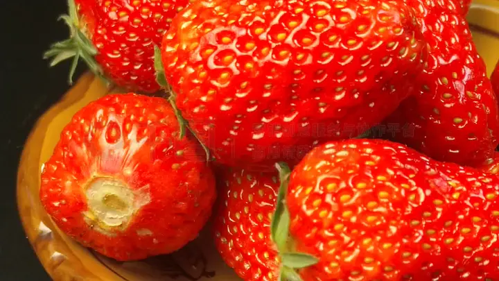 精品一线二线三线无人区 精品为二线无人区监测生态