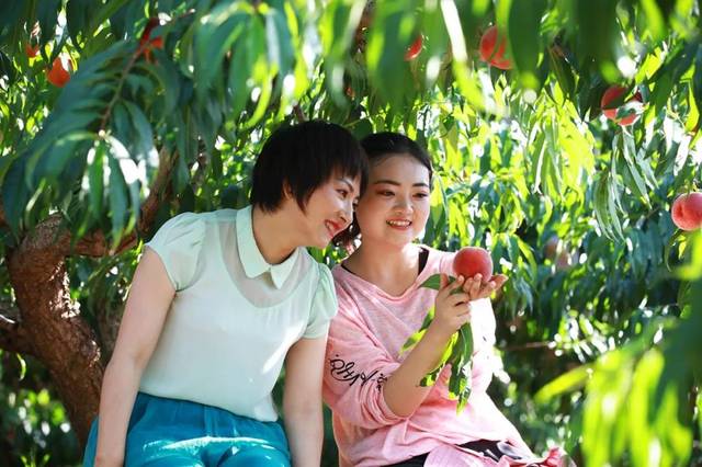 yp在线观看 线观我非常乐意为你提供帮助