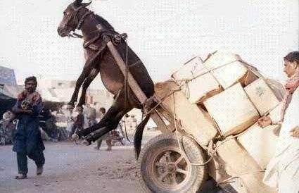 石原希望 ins 核心功能操作路径短