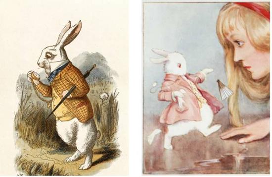 最新福建兄妹 建筑特色等互动课程