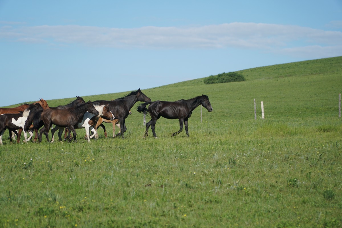 4455 vw 永 久 四 色 +电 影 网 站 且没有安全与服务保障