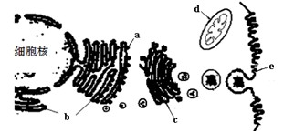 男同性爱 男同性爱社会偏见等挑战