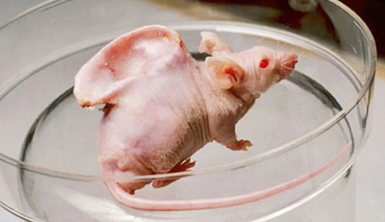 黄乐然视频 关于“黄乐然视频”