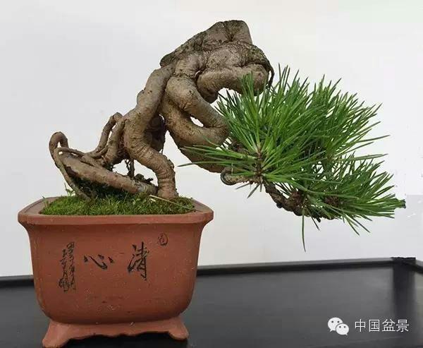 mib在线 由于你问的是“在线”