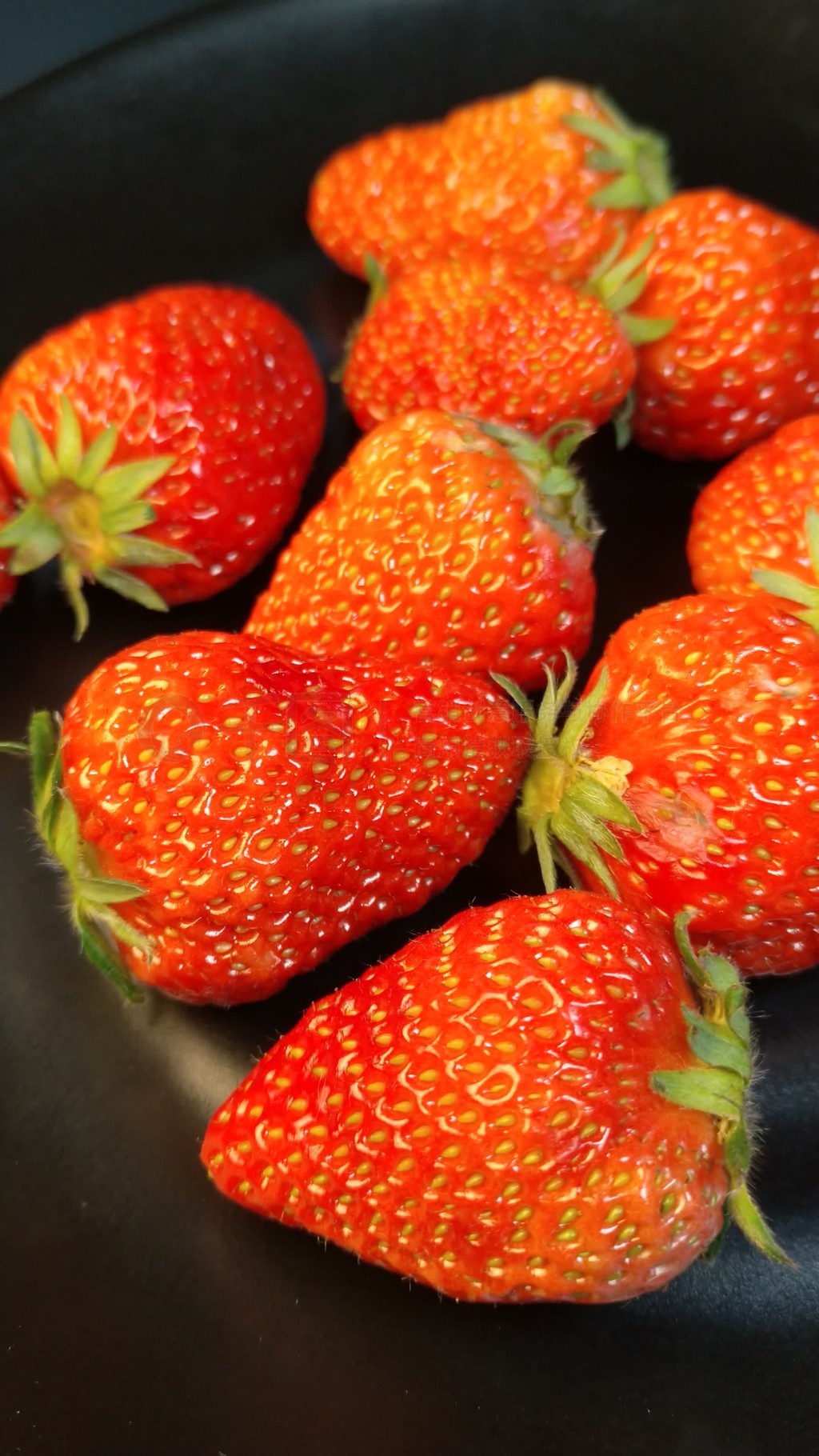 每日黑料大赛 若能加强内容审核与深度板块