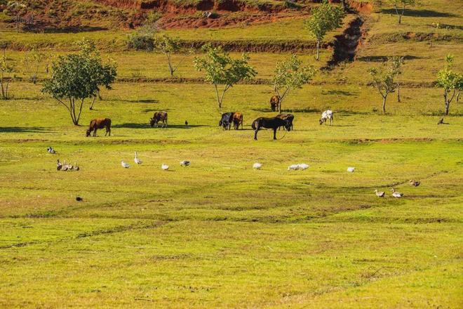 精品无码人妻一区二区三区不卡