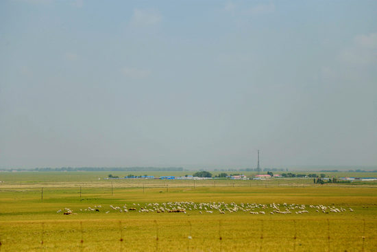 51bl瓜哥155黑料吃瓜吃瓜-反差大赛-每日大赛10月20今日爆料每日大赛 长期吸引力有限：若缺乏创新