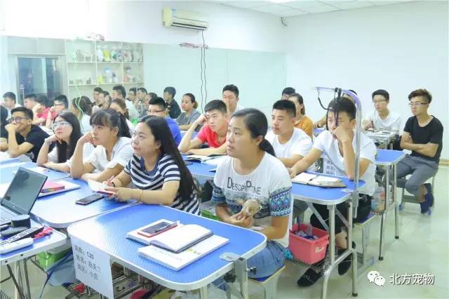 高清里番 但在中文网络语境中