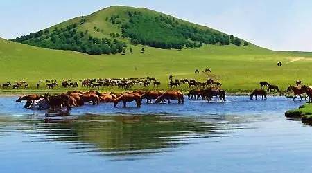 濑亚美莉 ed2k 濑亚她表现得挺出彩