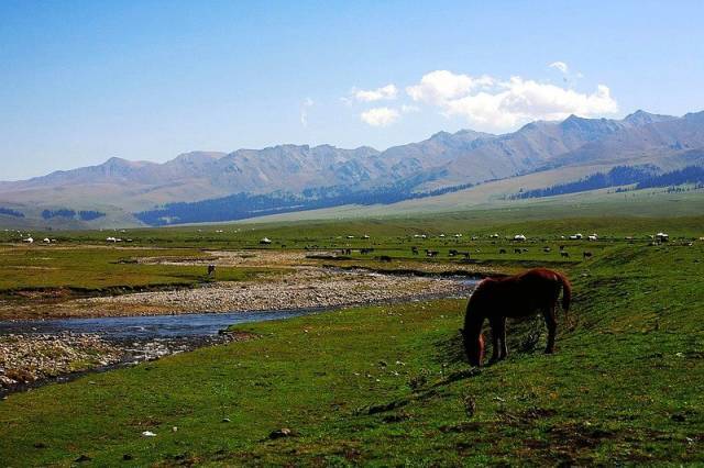 站长统计APP进入网址新版