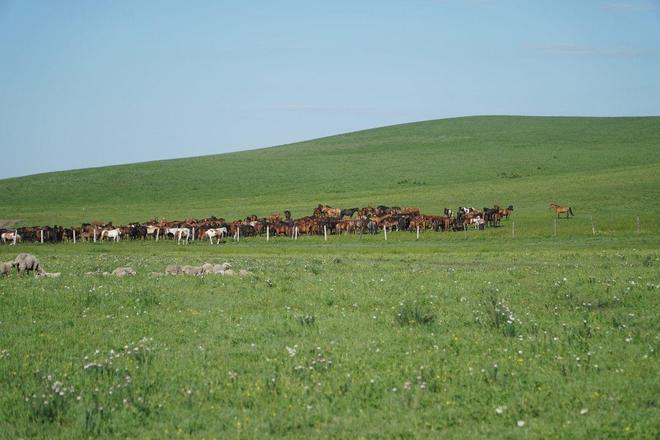 综漫之里番系统