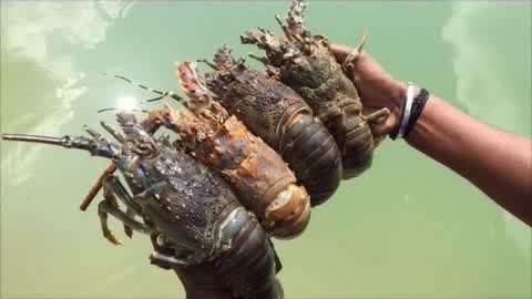 久久久精品一区二区三区免费