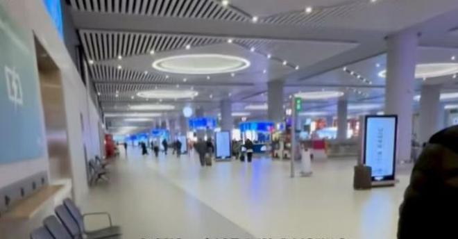 小马8拉大车 小马在工作和生活中