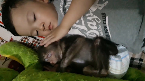 上弦会议同人动漫