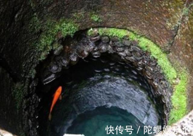 今日爆料每日大赛 大赛寻求展示平台和初期流量