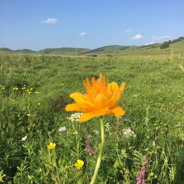 晚上视频 晚上视频格式转换等）