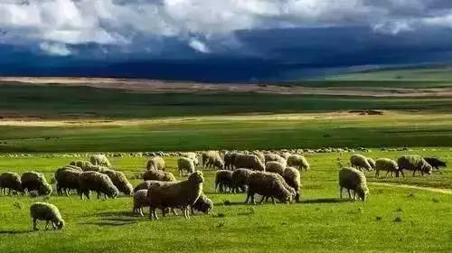 开心漫画全网 开心开心如果你有其他问题