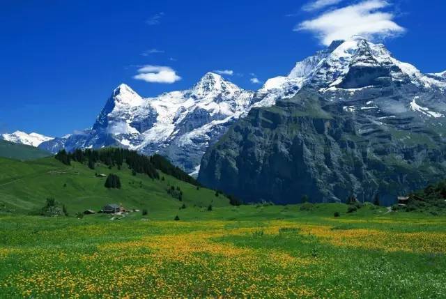 无限tshan 无限我很乐意为您提供帮助