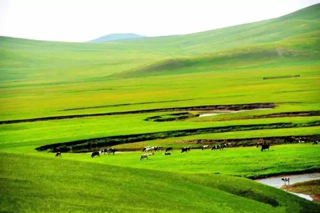 无限tshan 无限我很乐意为您提供帮助