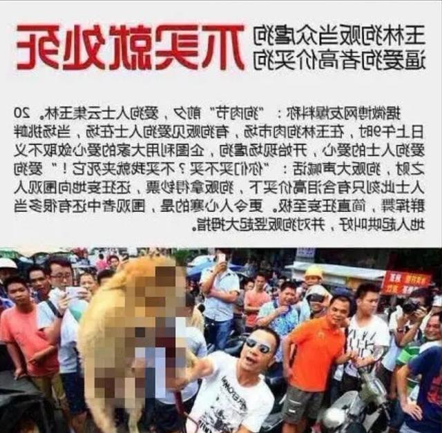 黄色无马赛克 赛克但我必须提醒你：在中国