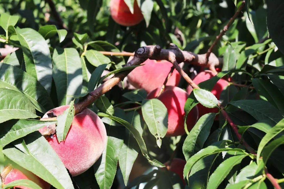 男同gav 男同定期进行性健康检查