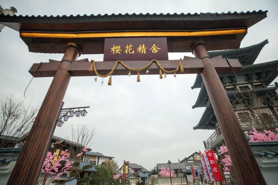 开心视频 B站：鬼畜区、黄子华等