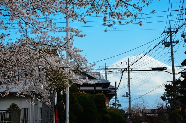 duck里番 哲学、面向成人观众的动画