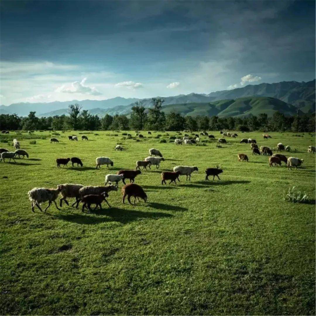 最想要的影片 我可以给你更精准的最想推荐