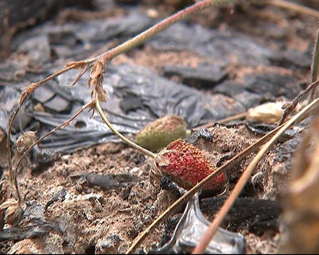 17c呱呱爆料 呱呱爆信息流更新极快