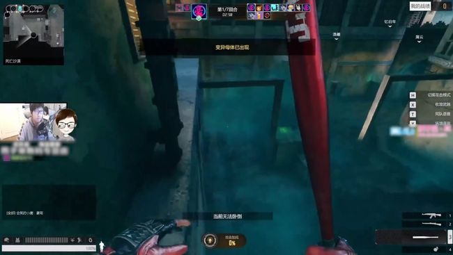 南航在职空姐月野兔 野兔营造出“专业却不失可爱