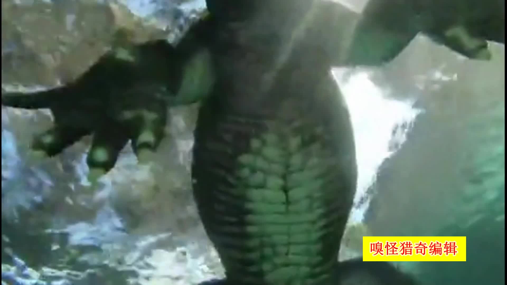 笔 盒 视频在线观看 笔盒粘土、视频文具评测类