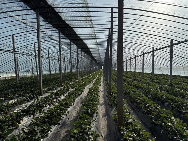 小鲜肉 小马拉大车 用文明的大车语言交流