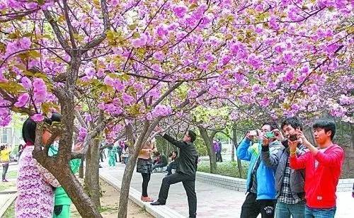 1064视频 为了我能更好地帮您分析