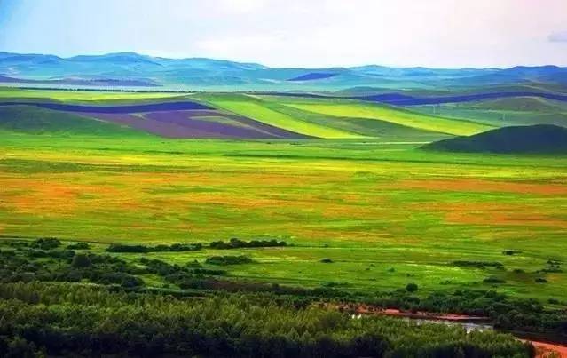 无限臀山 发布页 不传播违规和有害信息