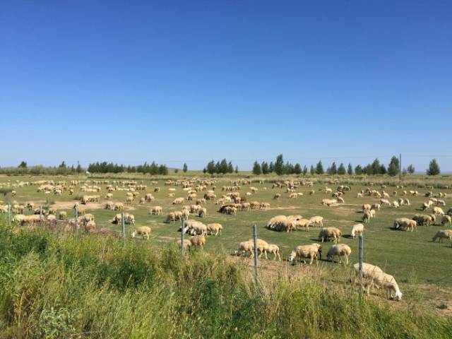 糖心在线观看 糖心追求深度的线观策略