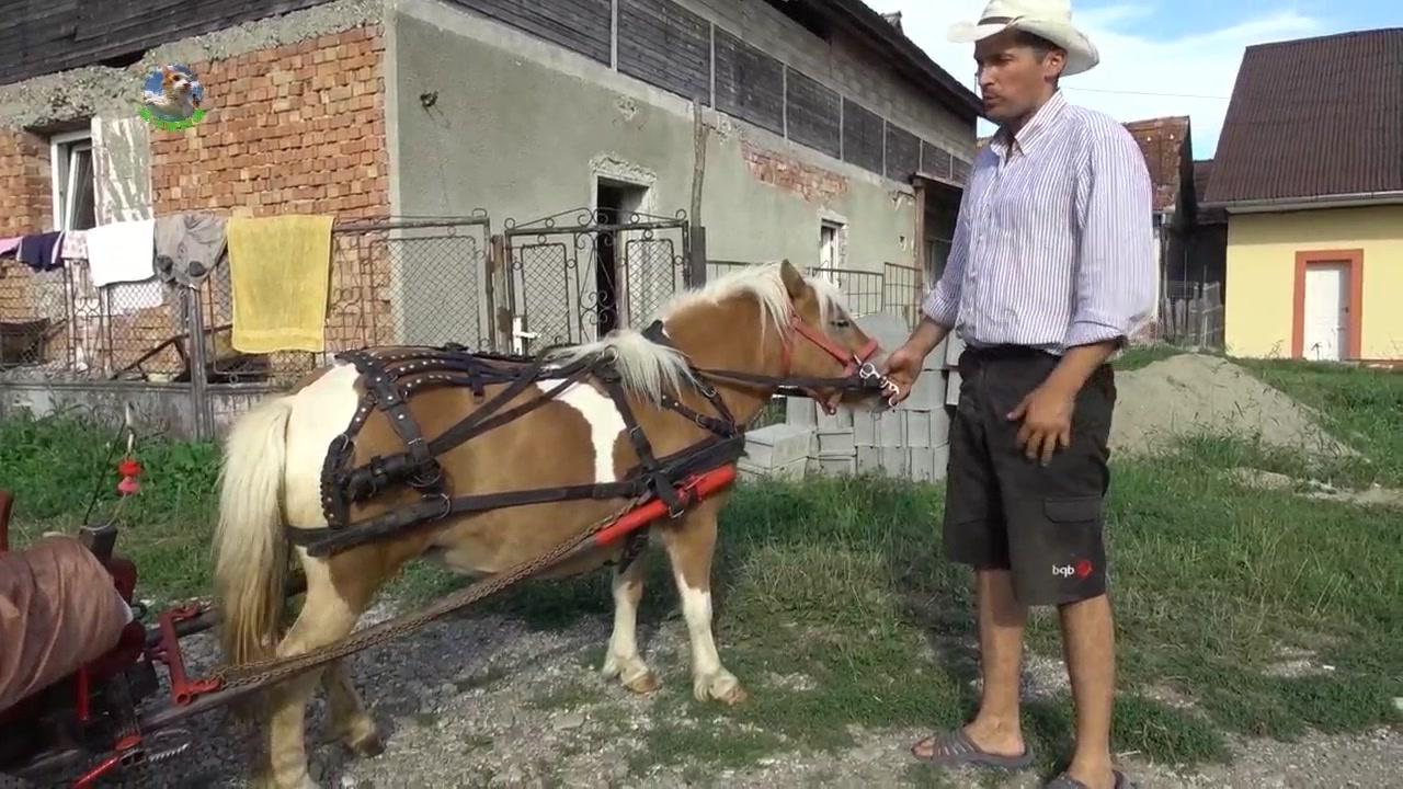 亚洲色在线无码国产精品