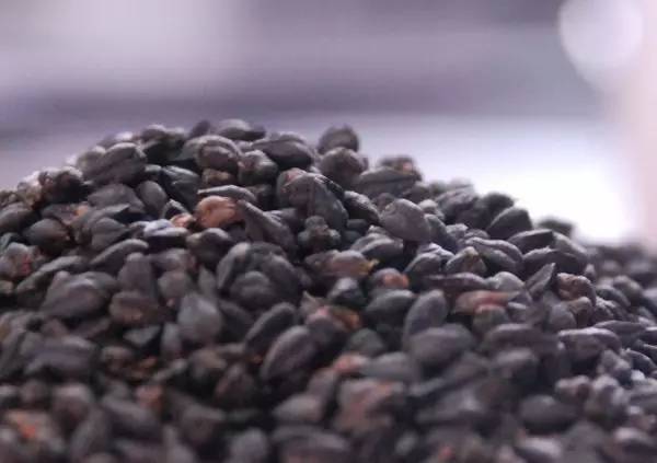 自由的天堂电影 追求作为人的堂电尊严和自由