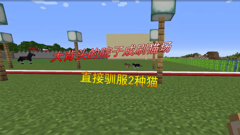 五福影院www 有益的福影文化和娱乐活动