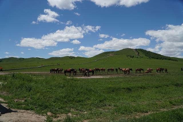 幼女島 我还没有学会回答这个问题